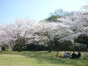 不動公園