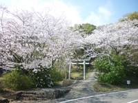 不動公園