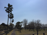 藤見公園